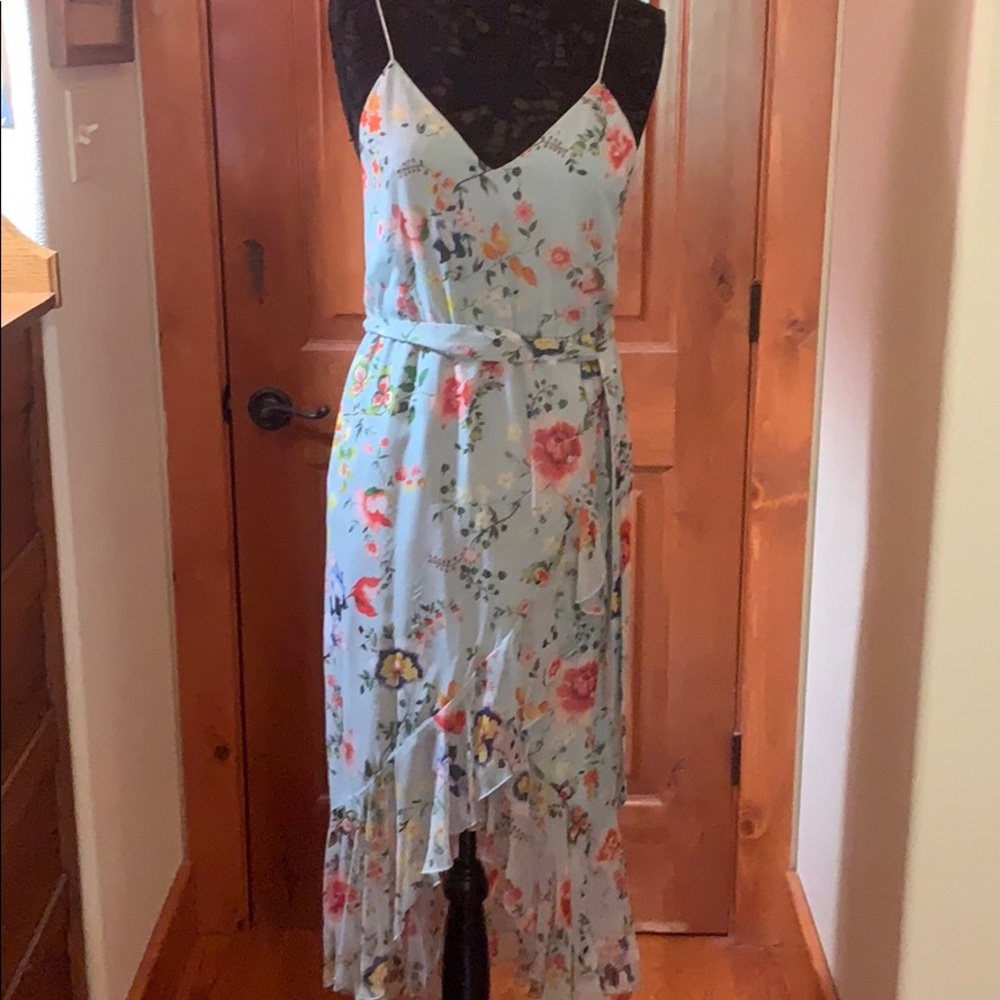 Floral Alice and Olivia dress